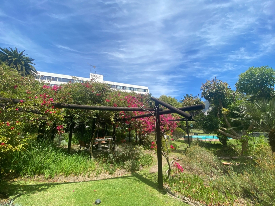 To Let 2 Bedroom Property for Rent in Claremont Upper Western Cape